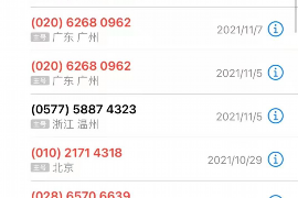 桐柏为什么选择专业追讨公司来处理您的债务纠纷？