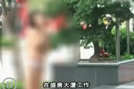 桐柏专业讨债公司，追讨消失的老赖